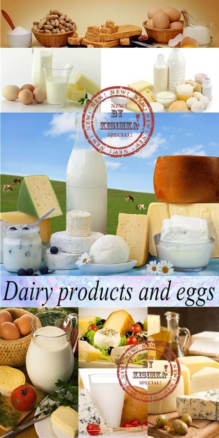 Stock Photo: Dairy products and eggs