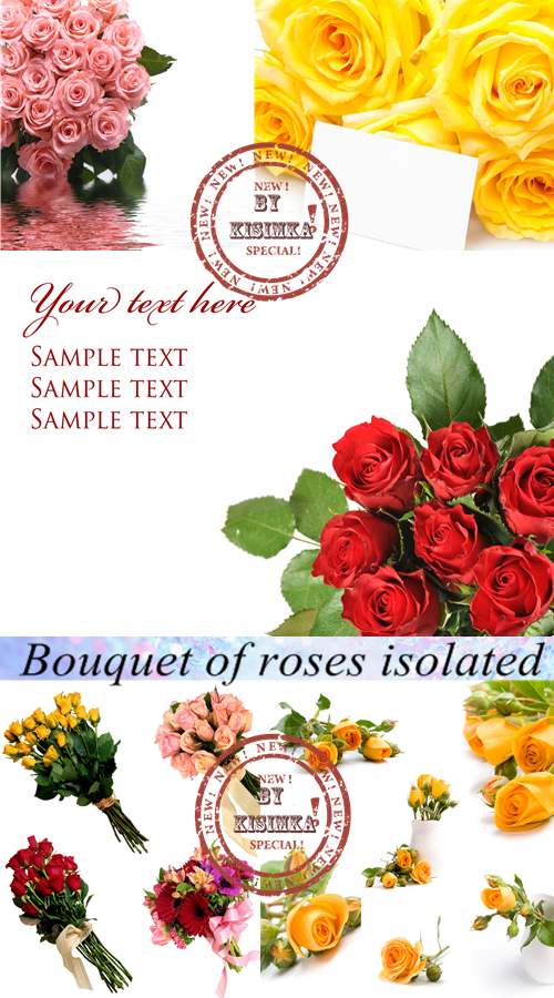 Stock Photo: Bouquet of roses isolated