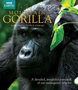 BBC Mountain Gorilla: Kingdom in the Clouds PDTV Xvid AC3 [MV Group]