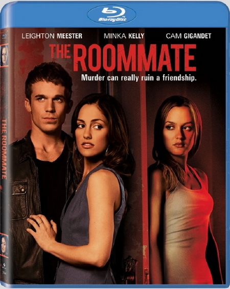 The Roommate (2011) 480p BRRiP XviD AC3-FLAWL3SS
