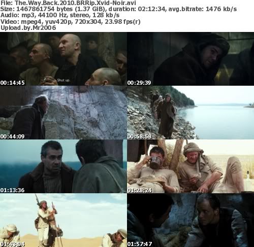 The Way Back (2010) BRRiP XViD-NOiR The Way Back (2010) BRRiP XViD-NOiR