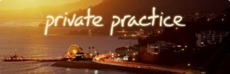 Private Practice S04E16 720p HDTV X264-DIMENSION Private Practice S04E16 720p HDTV X264-DIMENSION