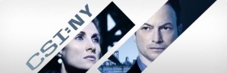 CSI New York S07E19 720p HDTV X264-DIMENSION