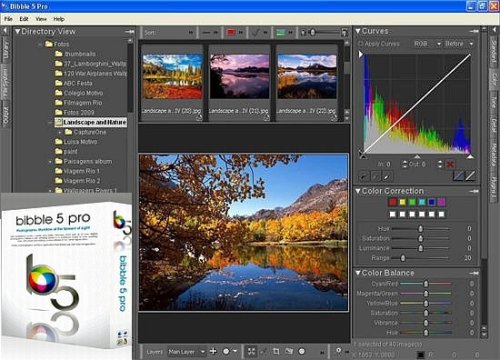 Bibble Professional 5.2.0 Final