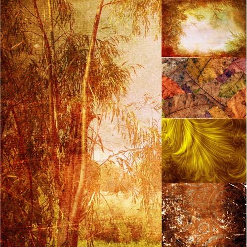 Stock Photo - Background & Texture