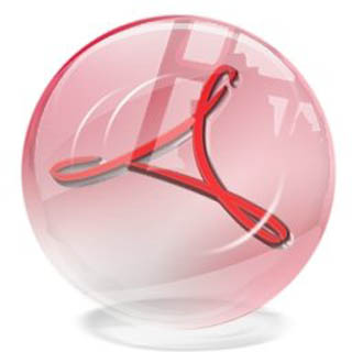 Adobe Reader 10.0.1