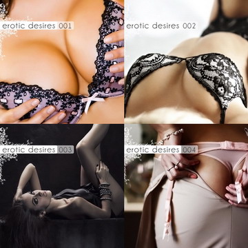 Erotic Desires Volume 001-010 (2011)