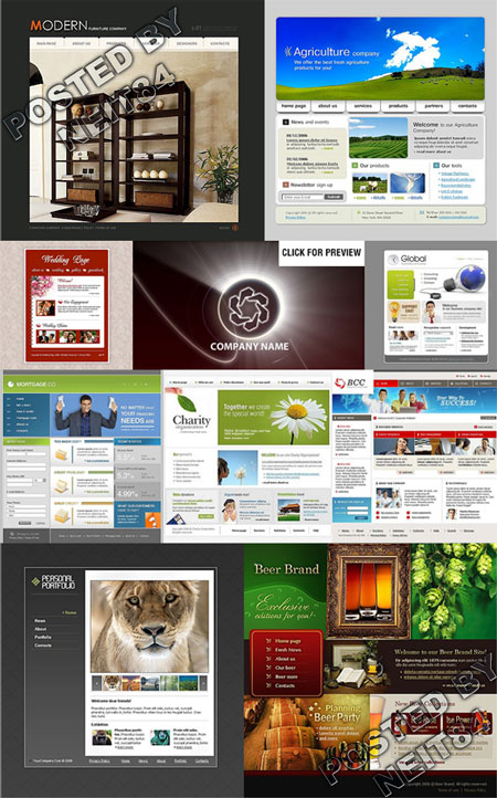 10 Flash Template Website K10 P20
