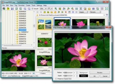 FastStone Image Viewer 4.3 Final