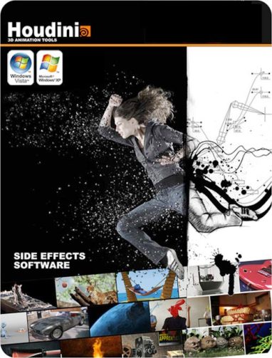 SideFX Houdini Master 11.0.733 x86/x64 Windows/Linux/MacOSX 