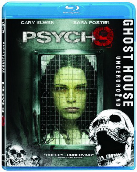 Psych 9 (2010) BDRip XviD AC3-CaLLiOpeD
