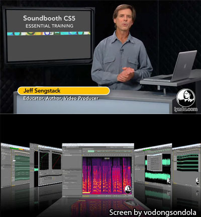 Lynda: Soundbooth CS5 Essential Training [HF,FS,Fs]