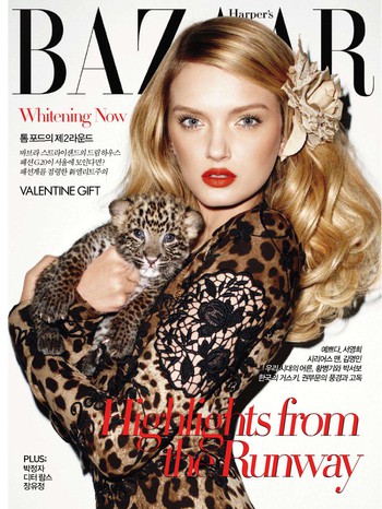 Harpers Bazaar - February 2011 (Korea)