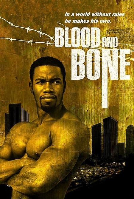 Blood And Bone (2009) DVDRip Xvid AC3 - DiVERSiTY