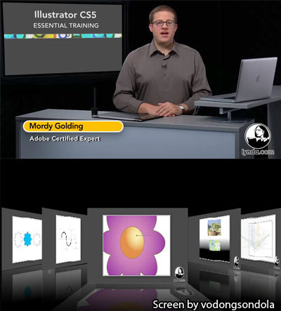 Lynda : Illustrator CS5 Essential training [HF,FS,Fs]
