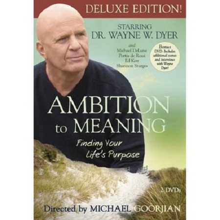 Ambition to Meaning  The Shift  Wayne Dyer DVDrip Avi-X50
