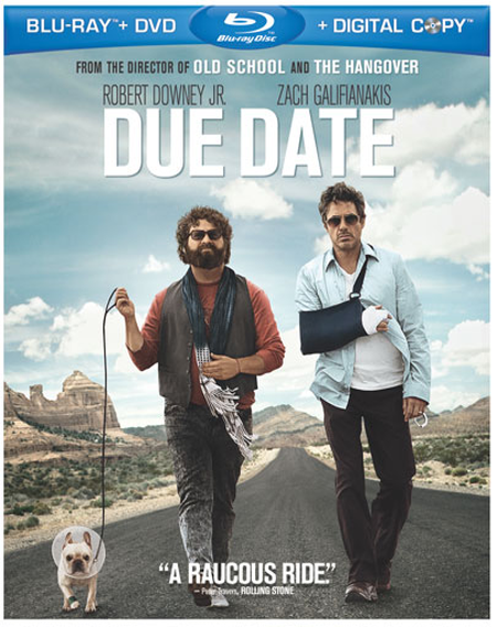 Due Date (2010) BDRip XviD - SnF