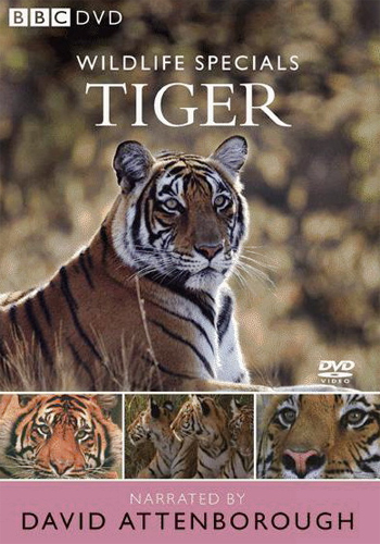 BBC - Wildlife Specials Tiger (2004) DVDrip Xvid-m4ndr4