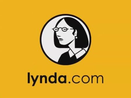 Lynda.com Doyald Young Logotype Designer Creative Inspirations