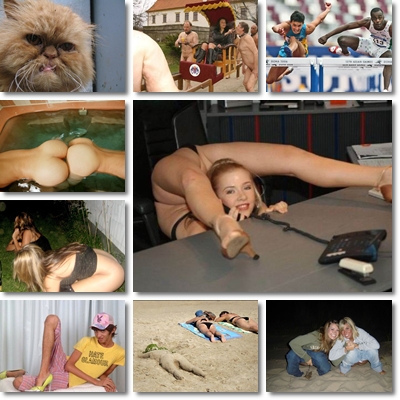 Photo Humor Funny Collection